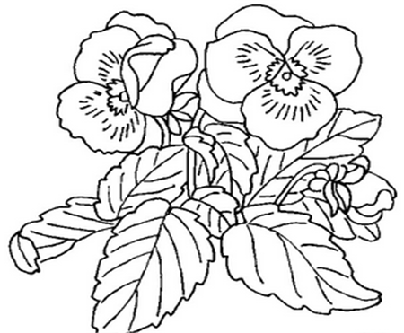 简笔画花：花朵简笔画