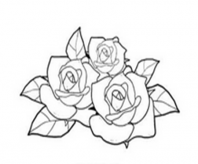 简笔画花：树情花