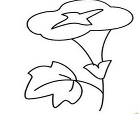 简笔画花：我喜欢牵牛花